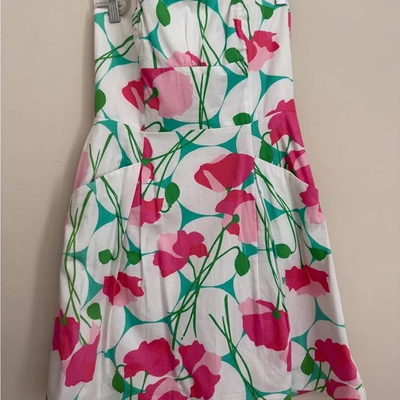 Lilly Pulitzer A-Line Skirt in Pink and Green Floral - Picture 1 of 4